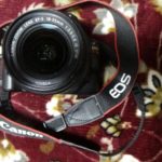 我が家がデジタルカメラ一眼レフカメラを購入した訳( *´艸`)!?