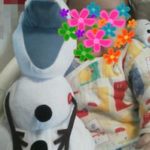 【TDR】ディズニー赤ちゃん連れ旅行荷物&ありもママの子育て知恵袋