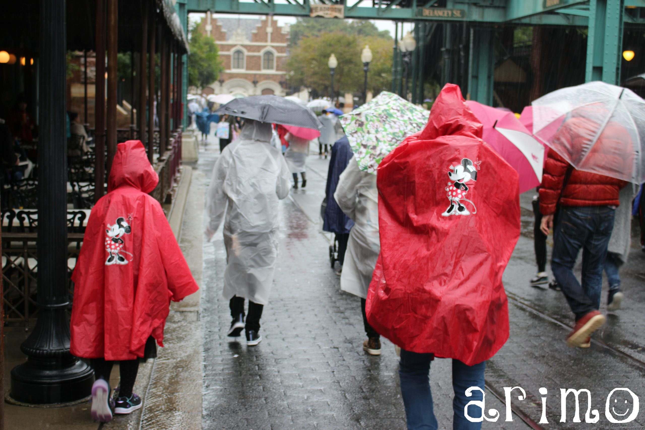 Tdr 雨の日ディズニーを満喫する 完璧 雨の日の秘策グッズ 東京ディズニーリゾートの過ごし方