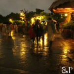 【TDL】雨の日ディズニー:ずぶ濡れスプラッシュ・マウンテン!!