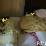 ディズニーホテル子連れ泊:トランドルベッドの重要な役目とは⁉