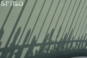 東京ディズニーランドで見ちゃった!?小人の行進に遭遇!?