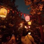 ラプンツェルの軌跡を辿って