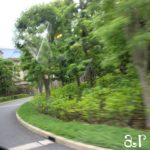 東京ディズニーリゾート35周年“Happiest Celebration!”梅雨in!